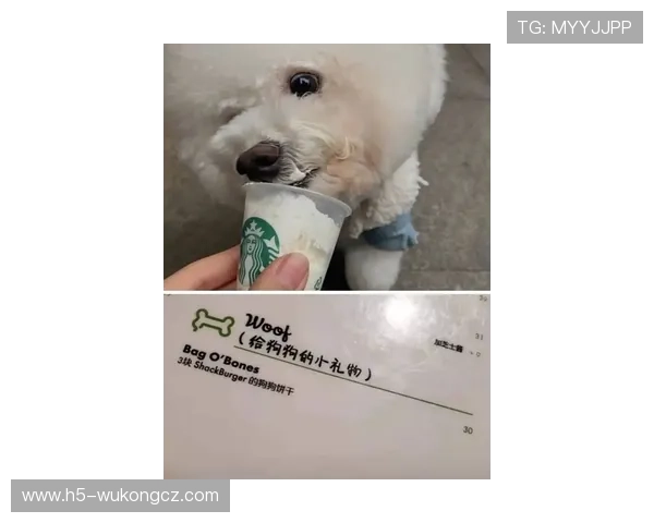 史梦瑶每天喝的水都是定制的，我连她家狗喝啥牌子都好奇