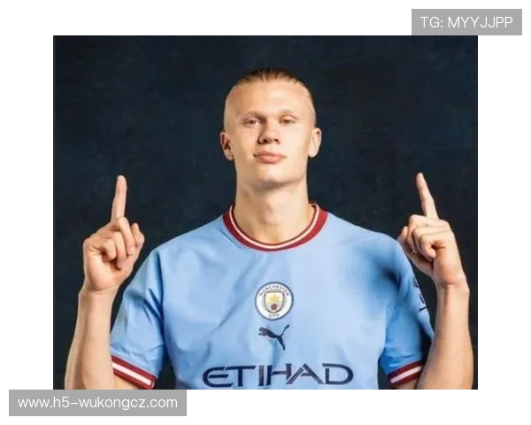 哈兰德数据含金量：高产背后的效率与体系依赖