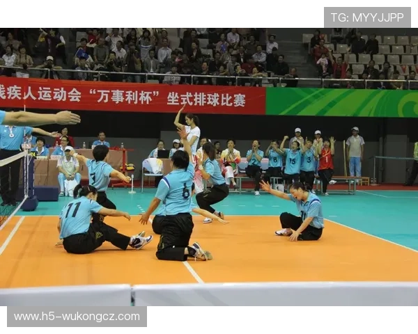 掷界外球规则详解：正确动作与判罚标准解析